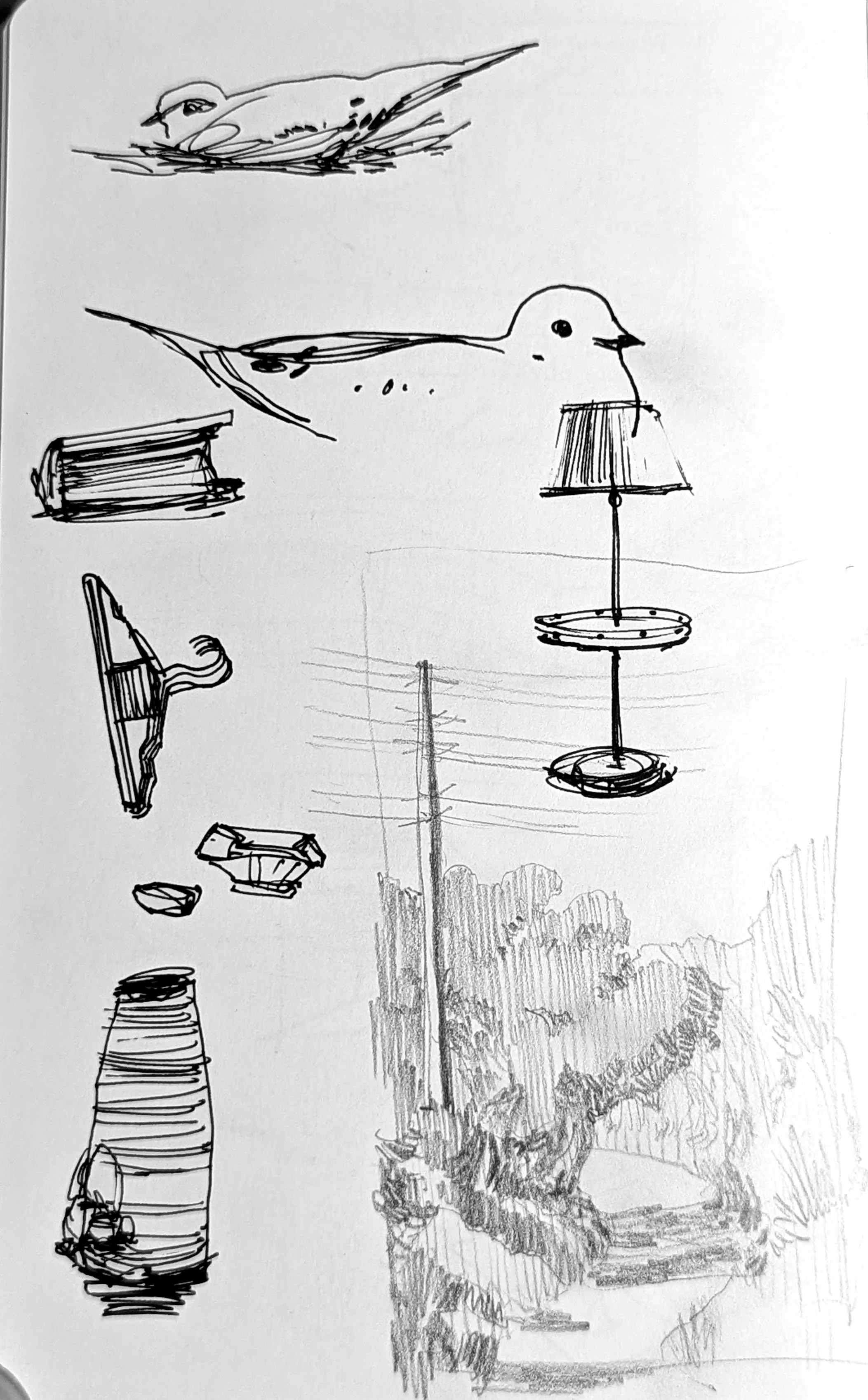 Forms