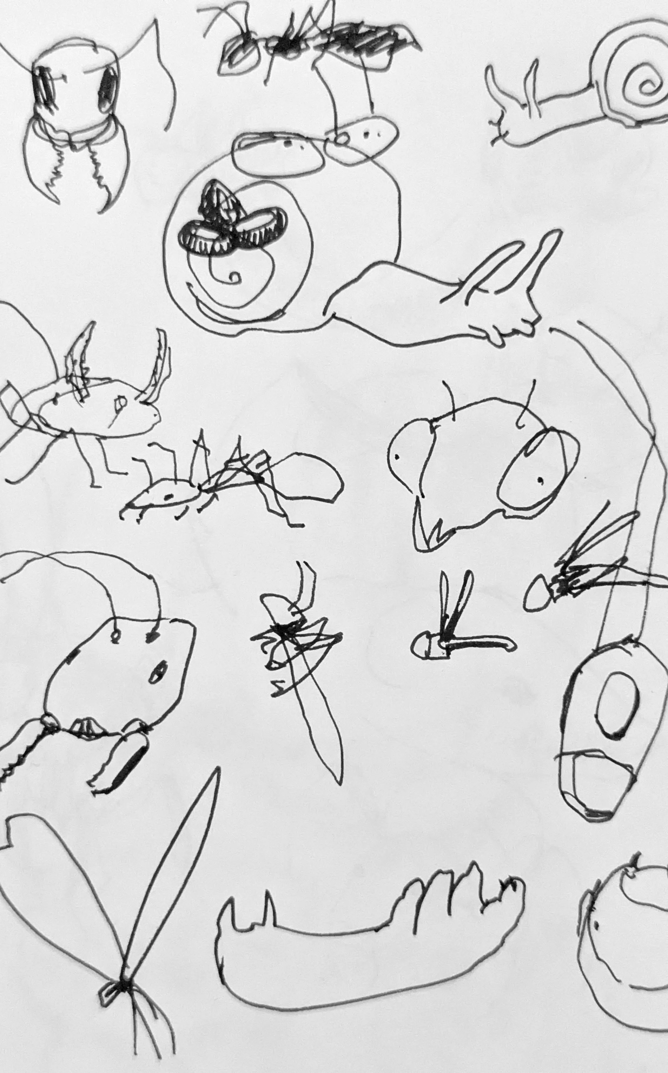 Bug forms