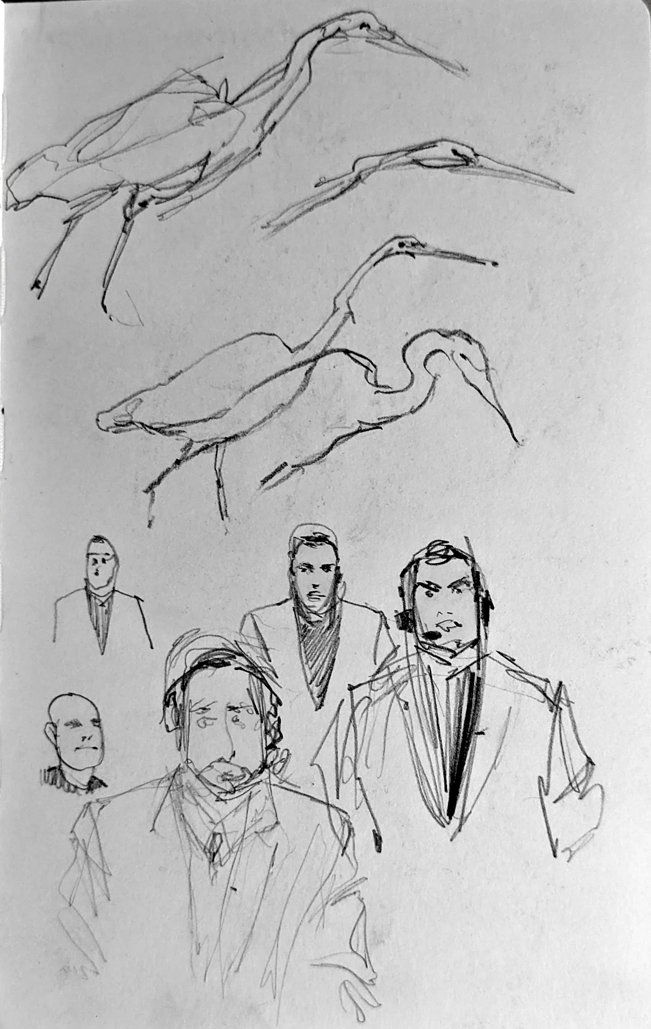 Storks
