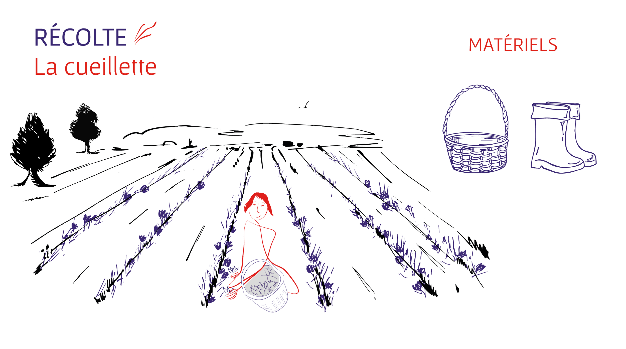 680x380px-récolte.png