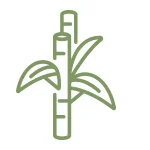ideahub_bamboo.jpg