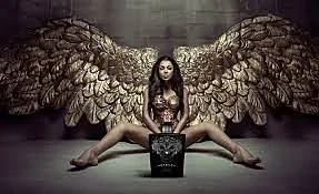 satryna_wings.jpg