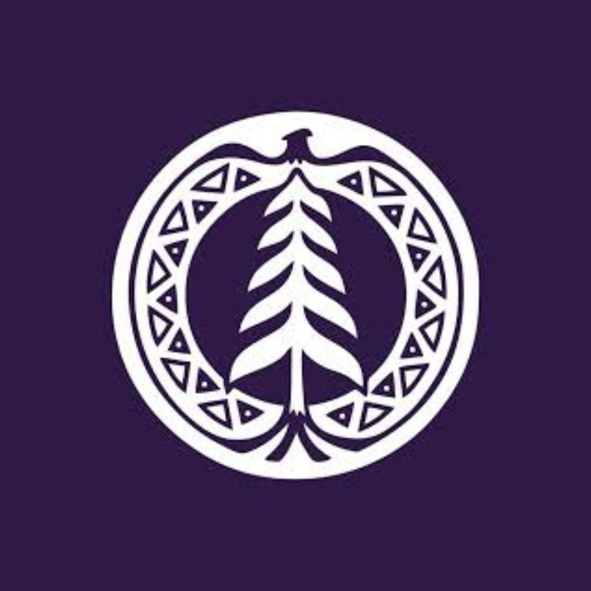 six nations polytechnic logo