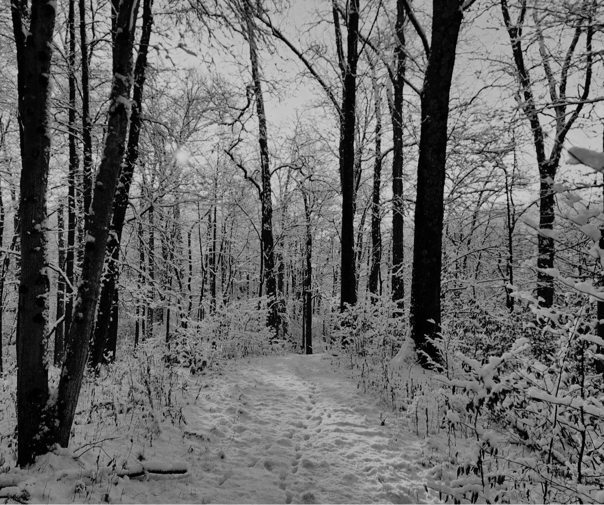 On Wintering