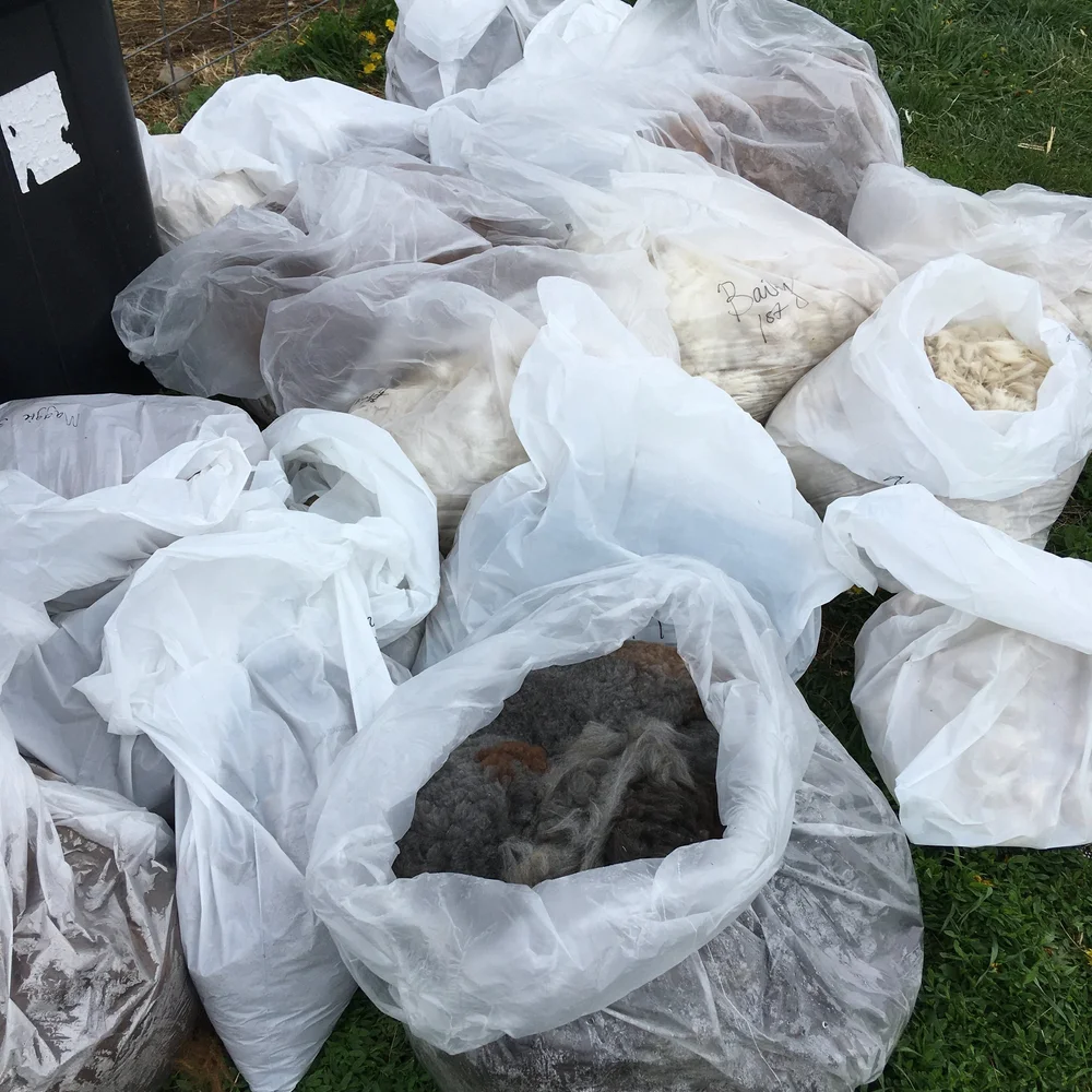 All the shorn alpaca fiber