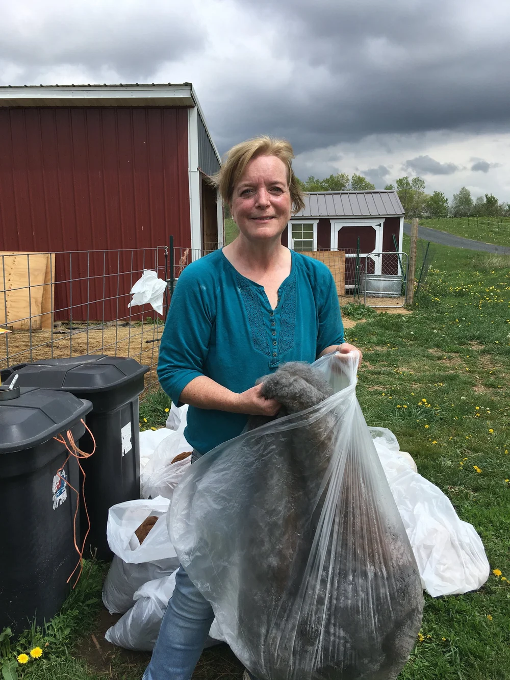 Jacqueline holding Phaethon's fleece blanket on Shearing Day 2021