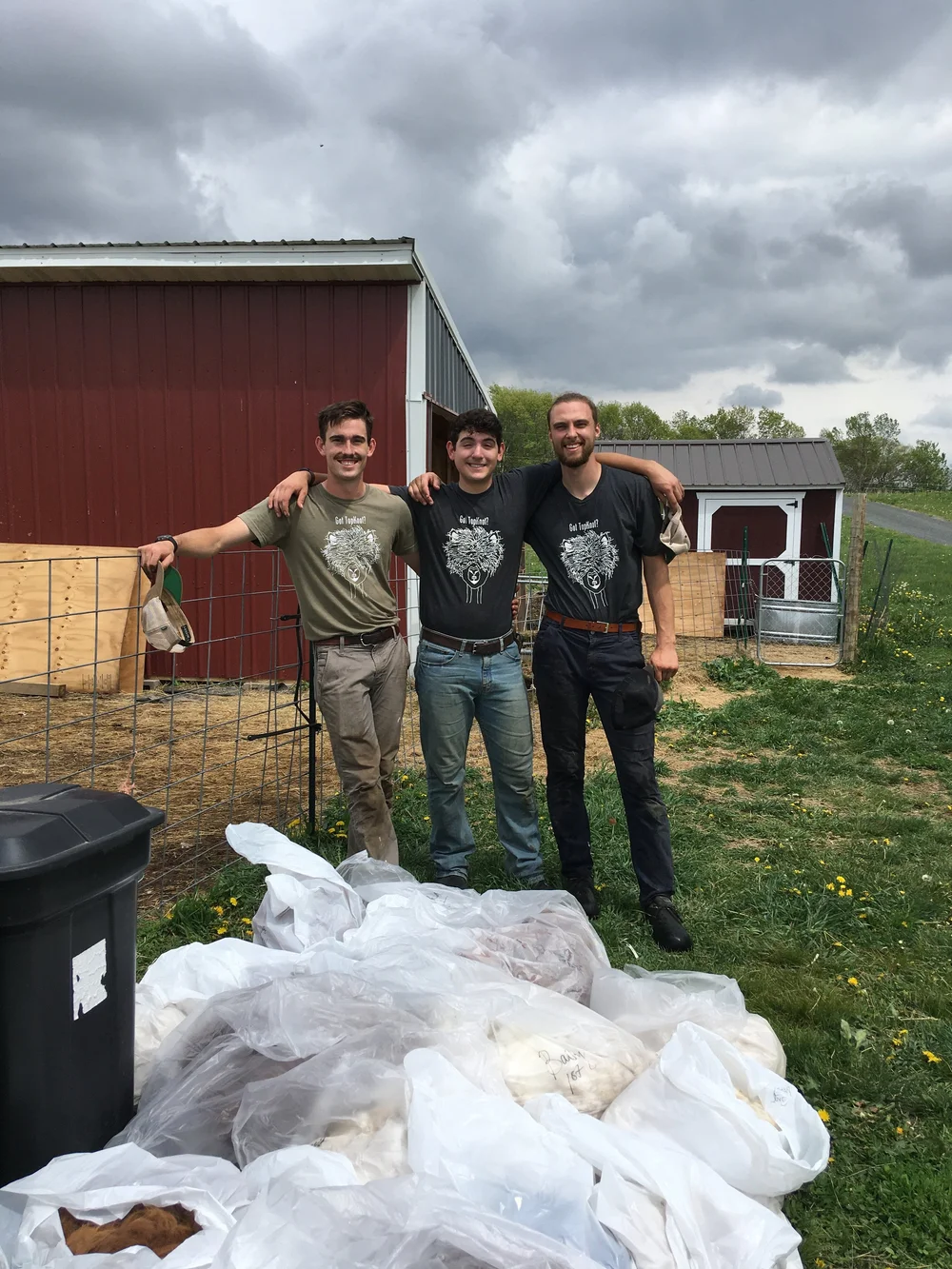 The Top Knot Shearing crew - thanks, guys!
