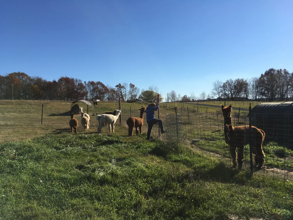 The whole crew, November 2021