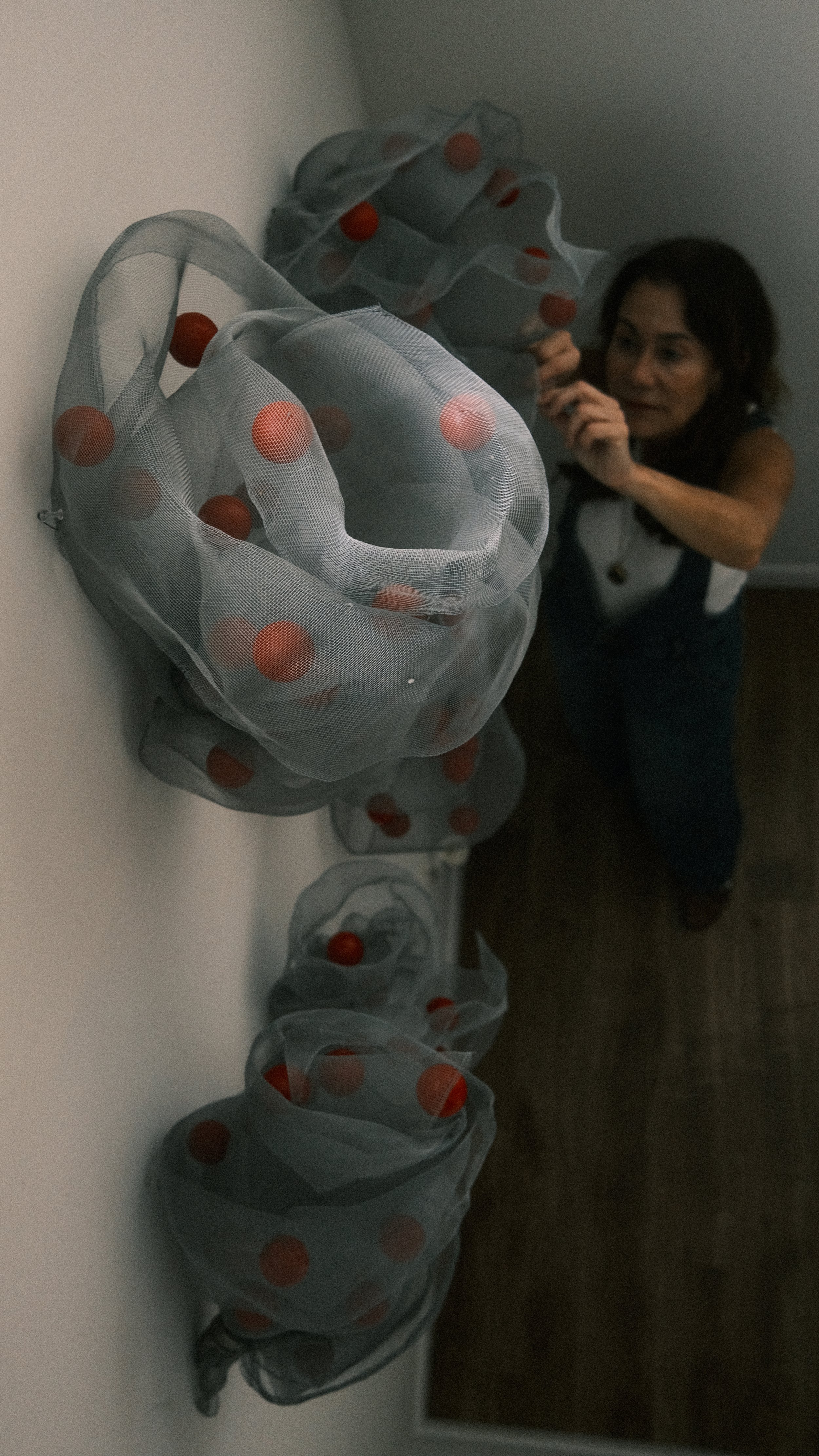 Detail of wire mesh mobiles with red spheres.
