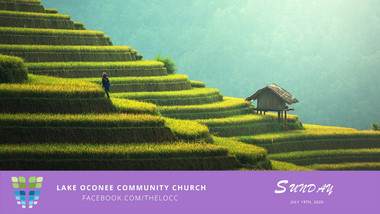 July 19th - The Wheat From The Chaff