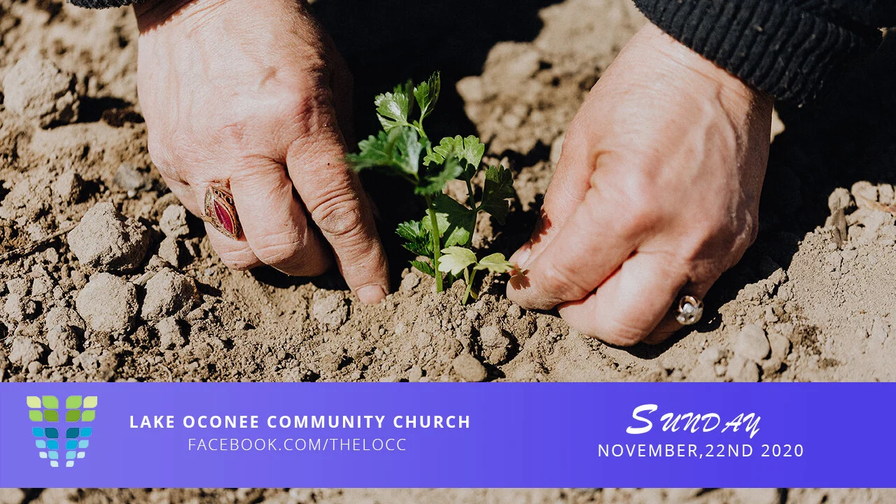 November 22nd - The First Will Be Last