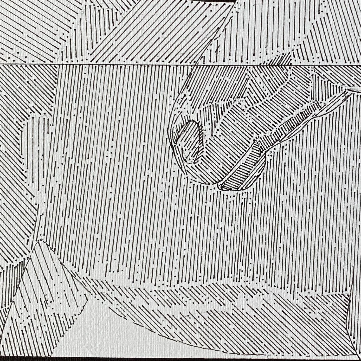 close up2.jpg