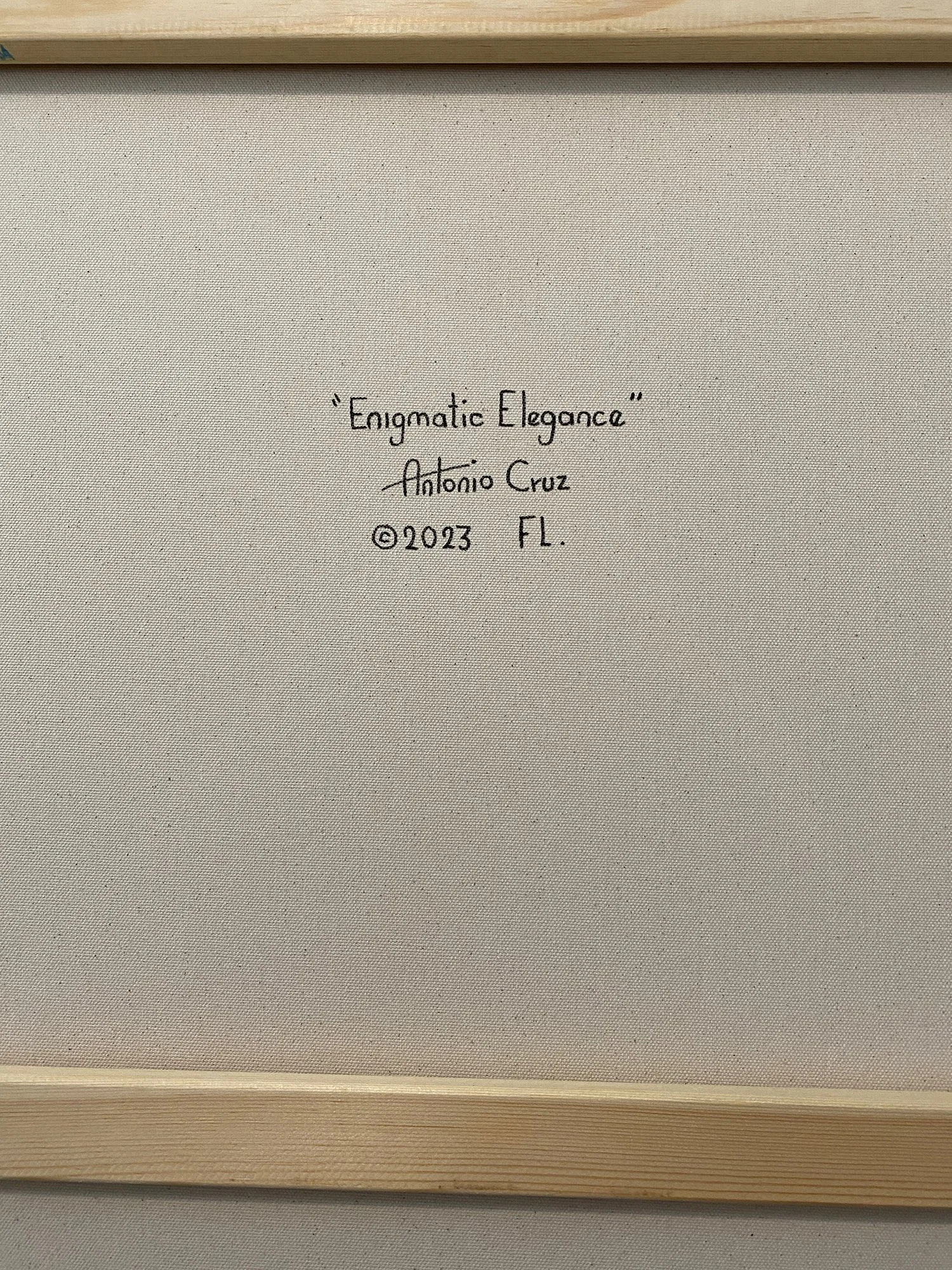 Enigmatic Elegance signature.jpeg