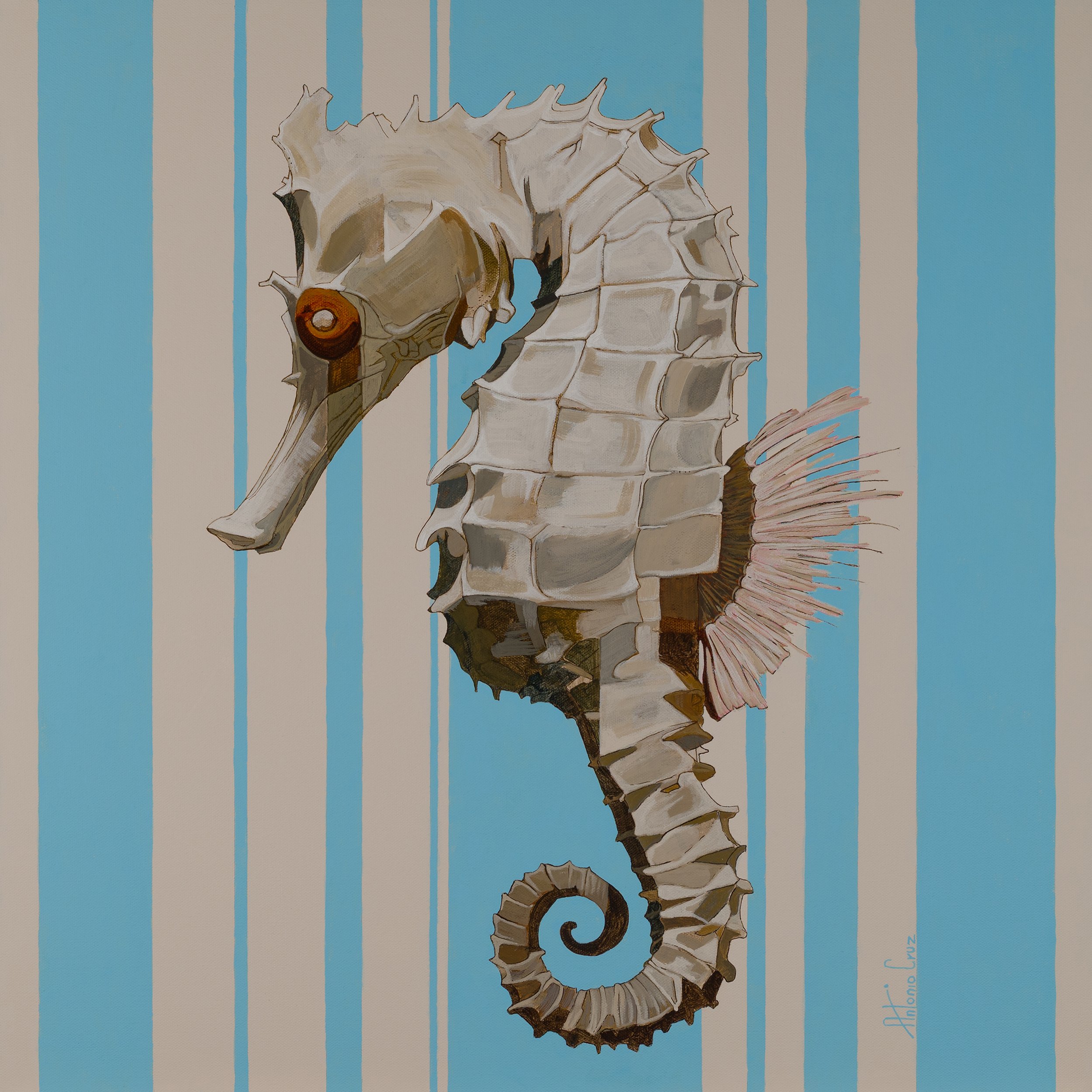 seahorse 16x16in@300.jpg
