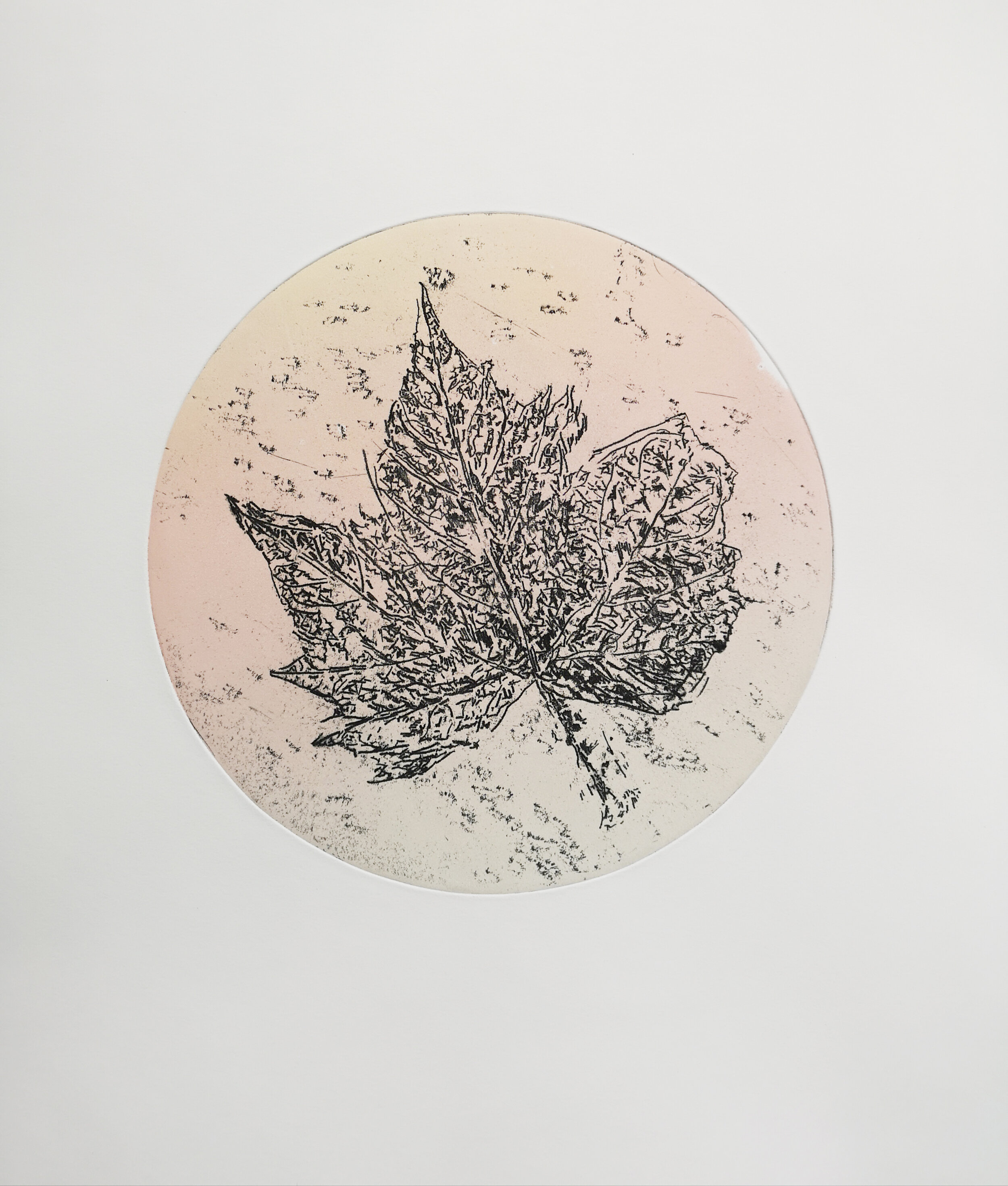 Un-titled, 2019, 48 X 50 cm, etching