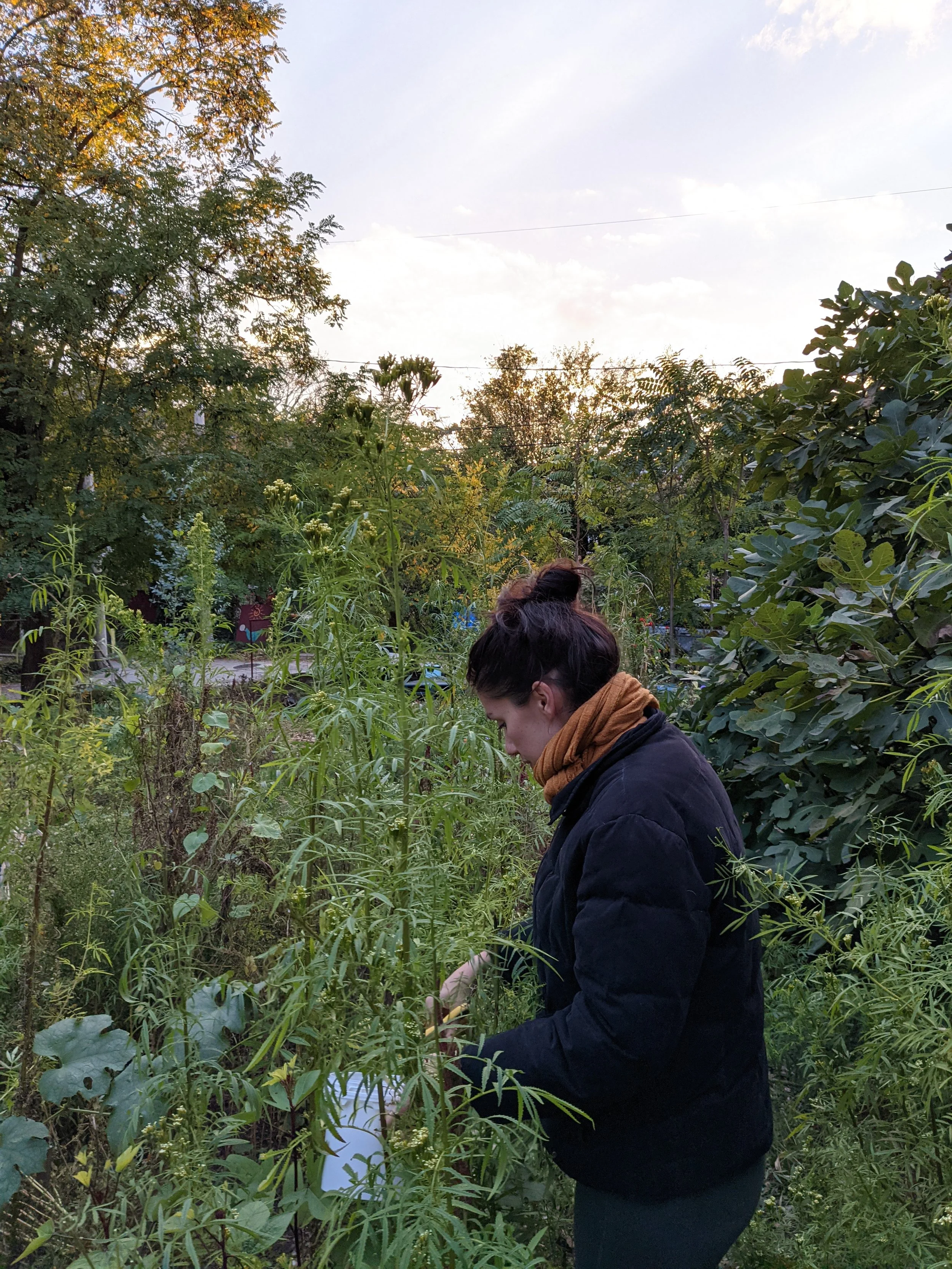 Store 2 — Blue Light Junction