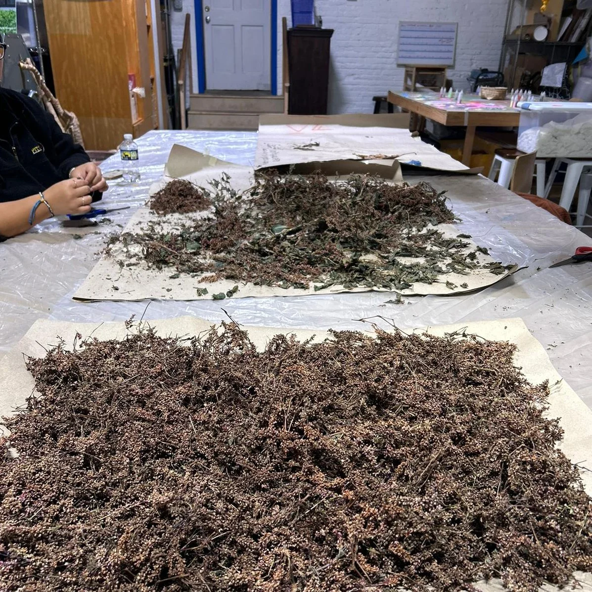 Volunteer Day at the Studio