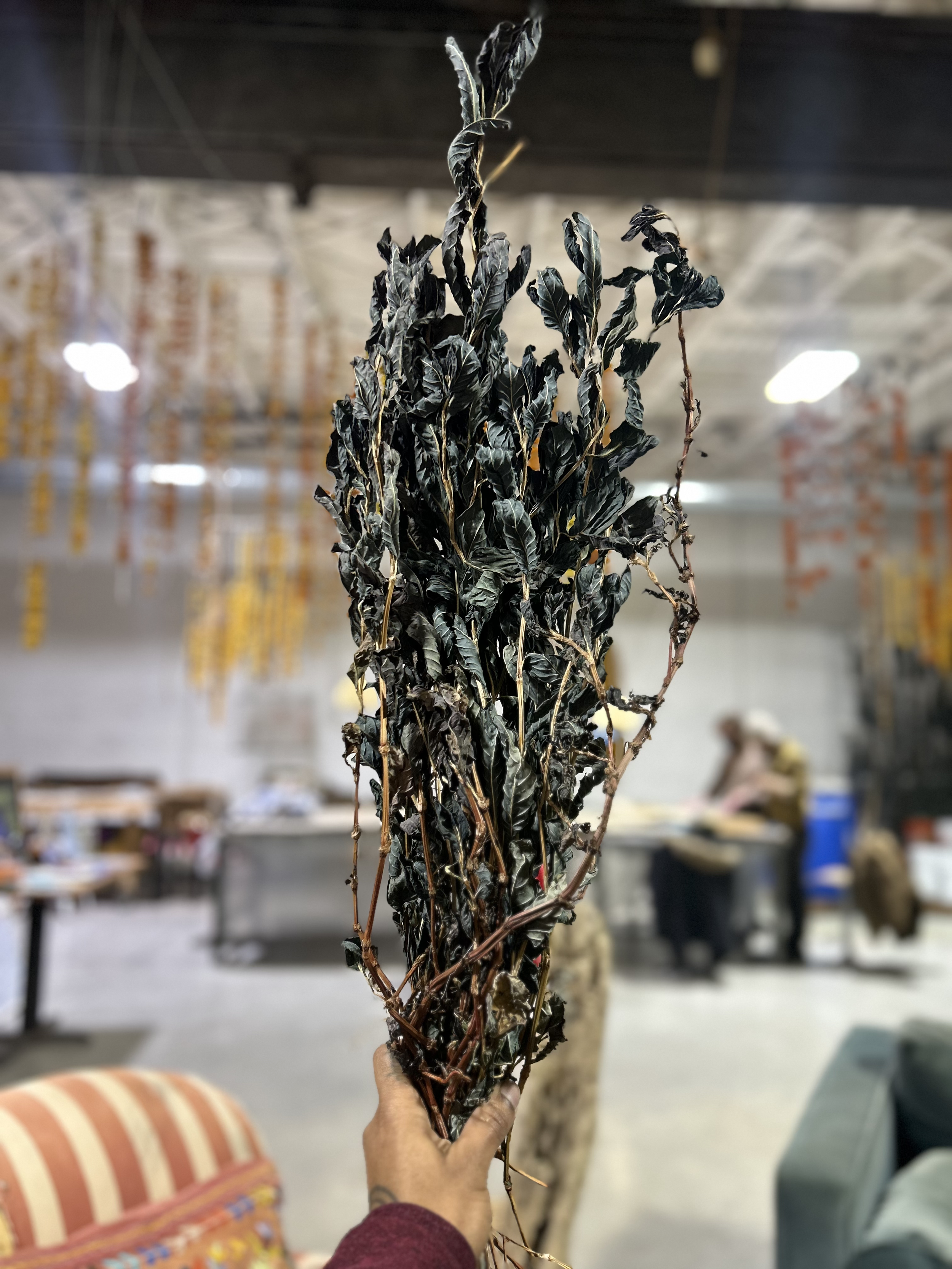 Volunteer Day at the Studio