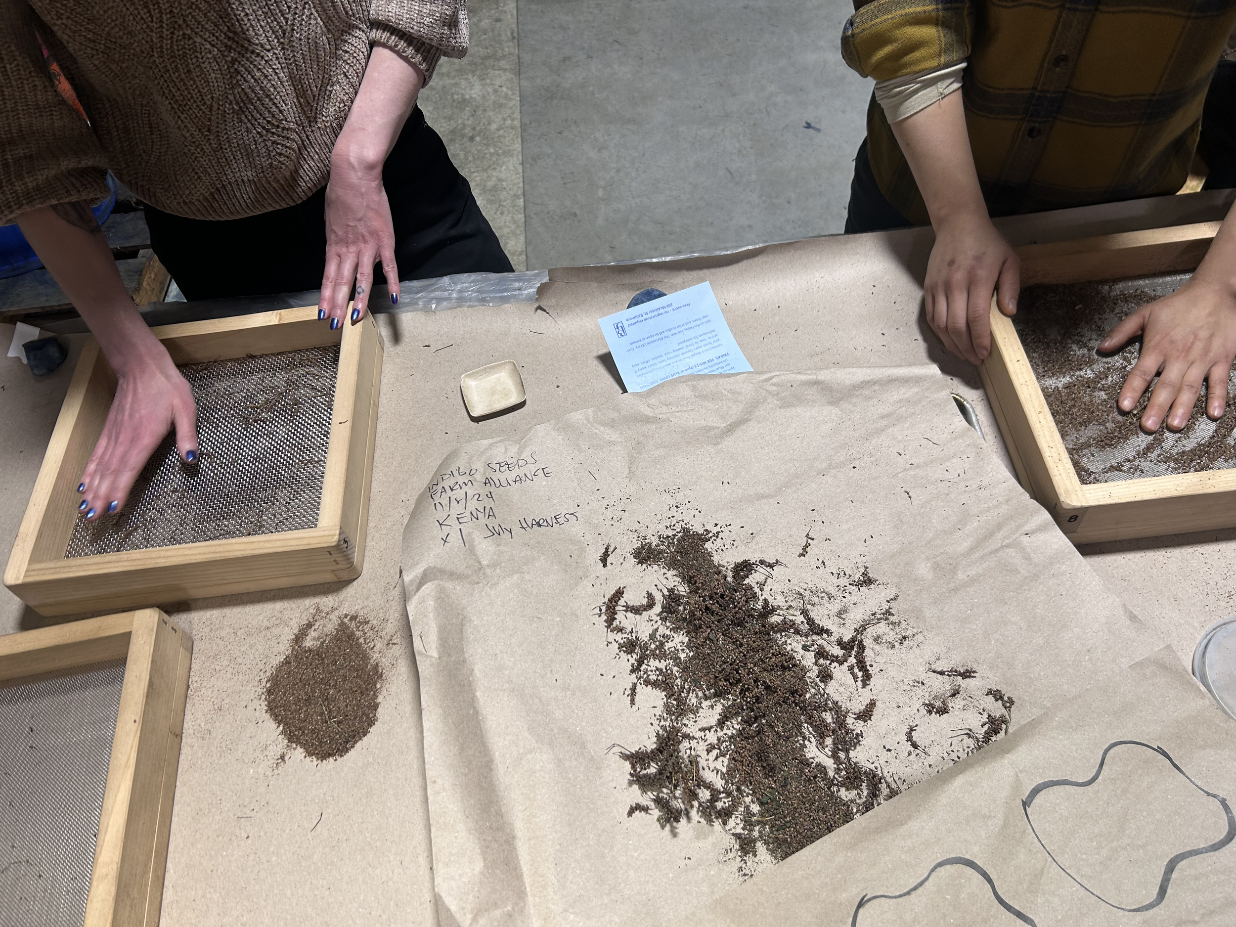 Volunteer Day at the Studio