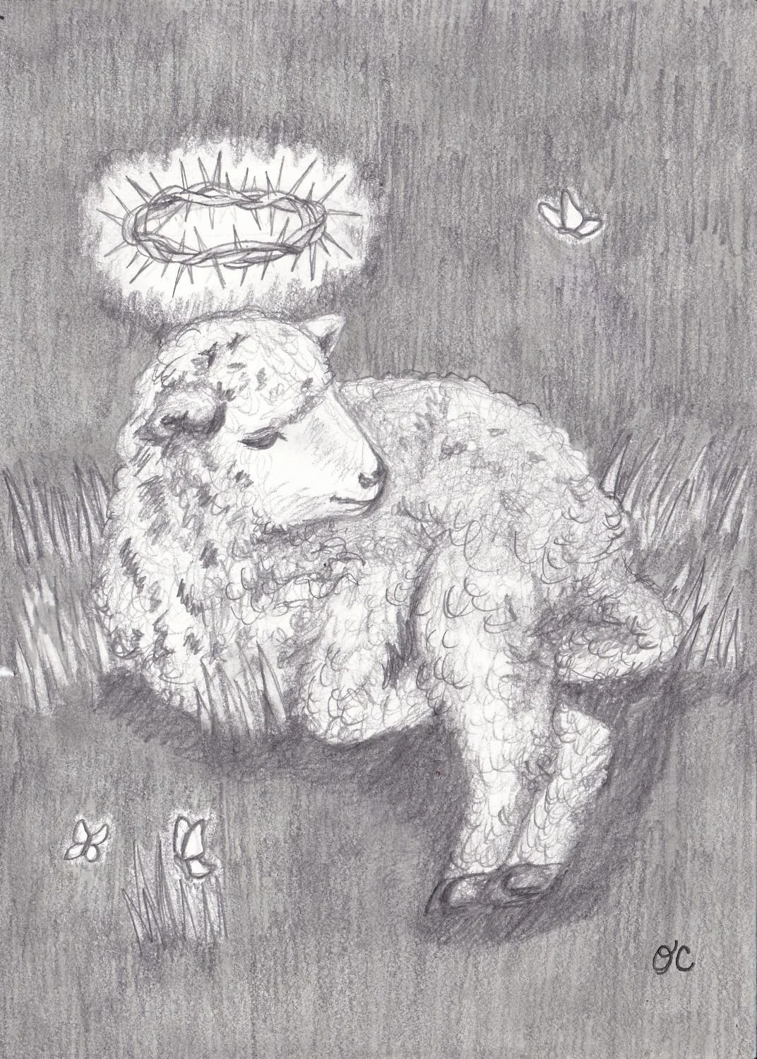 Little Lamb, graphite and marker, 5" x 7"