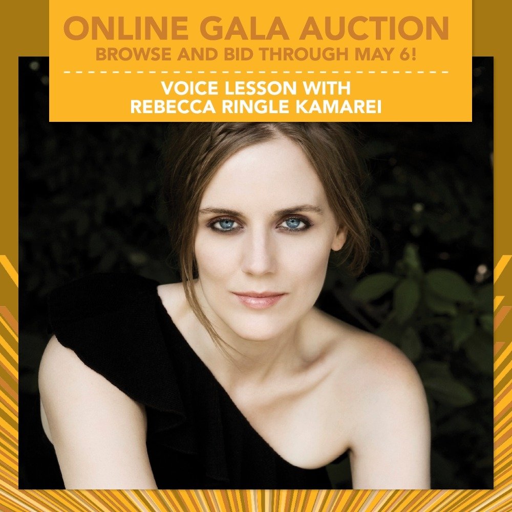 Here's a cool auction experience that you cannot easily buy: a one-hour voice lesson with American mezzo-soprano Rebecca Ringle Kamarei.

Known for her &ldquo;outstanding&rdquo; (The Washington Post) voice of &quot;otherworldly luminousness&quot; (Th