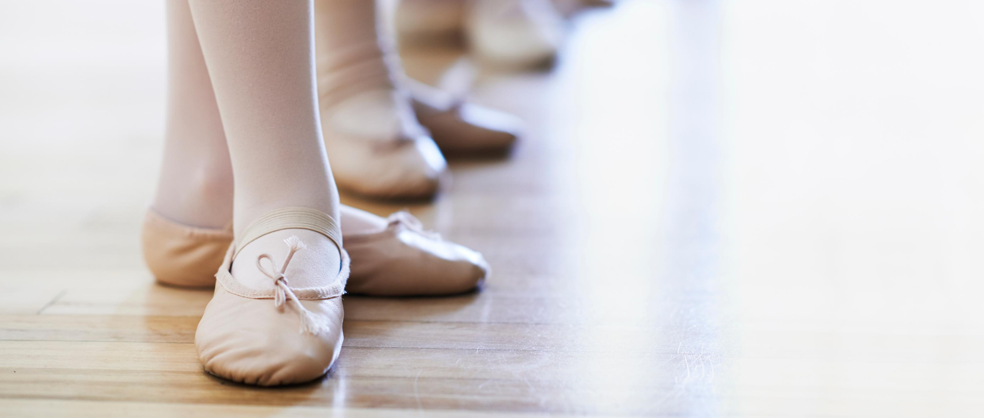 Banner Image for Program Page (2).png