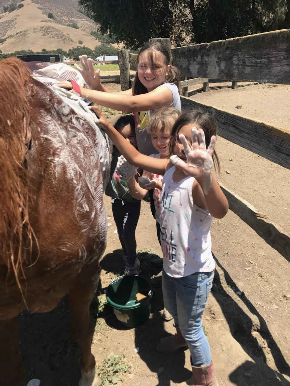 7_5_2021, 12_36_14 PM.jpeg