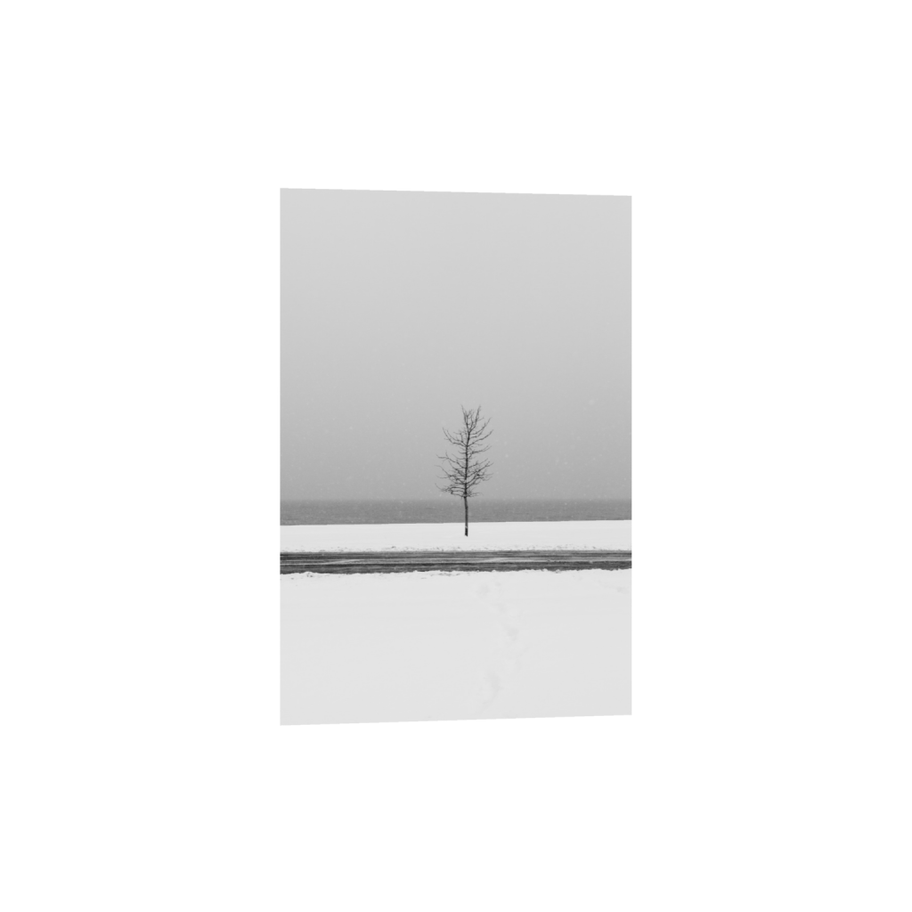 ptq_34_3_305_0_3048_4572_0_false_ffffff_0_0_.png
