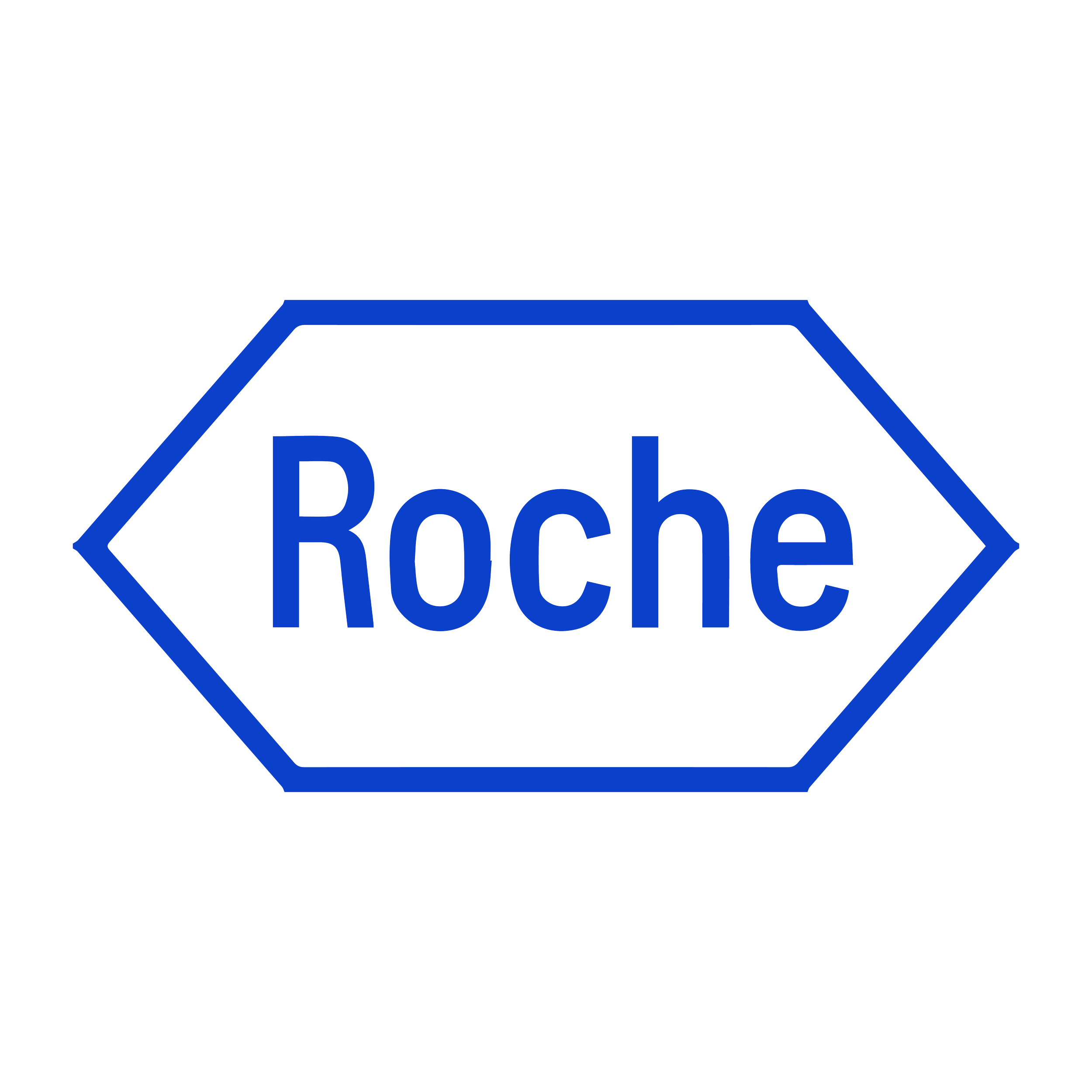 logo-roche.png