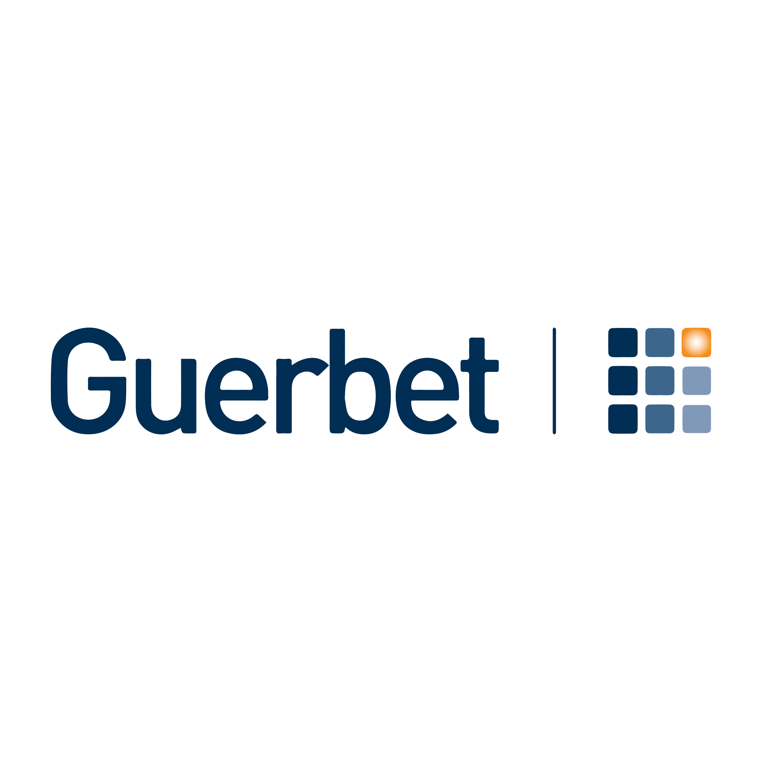 logo-guerbet.png