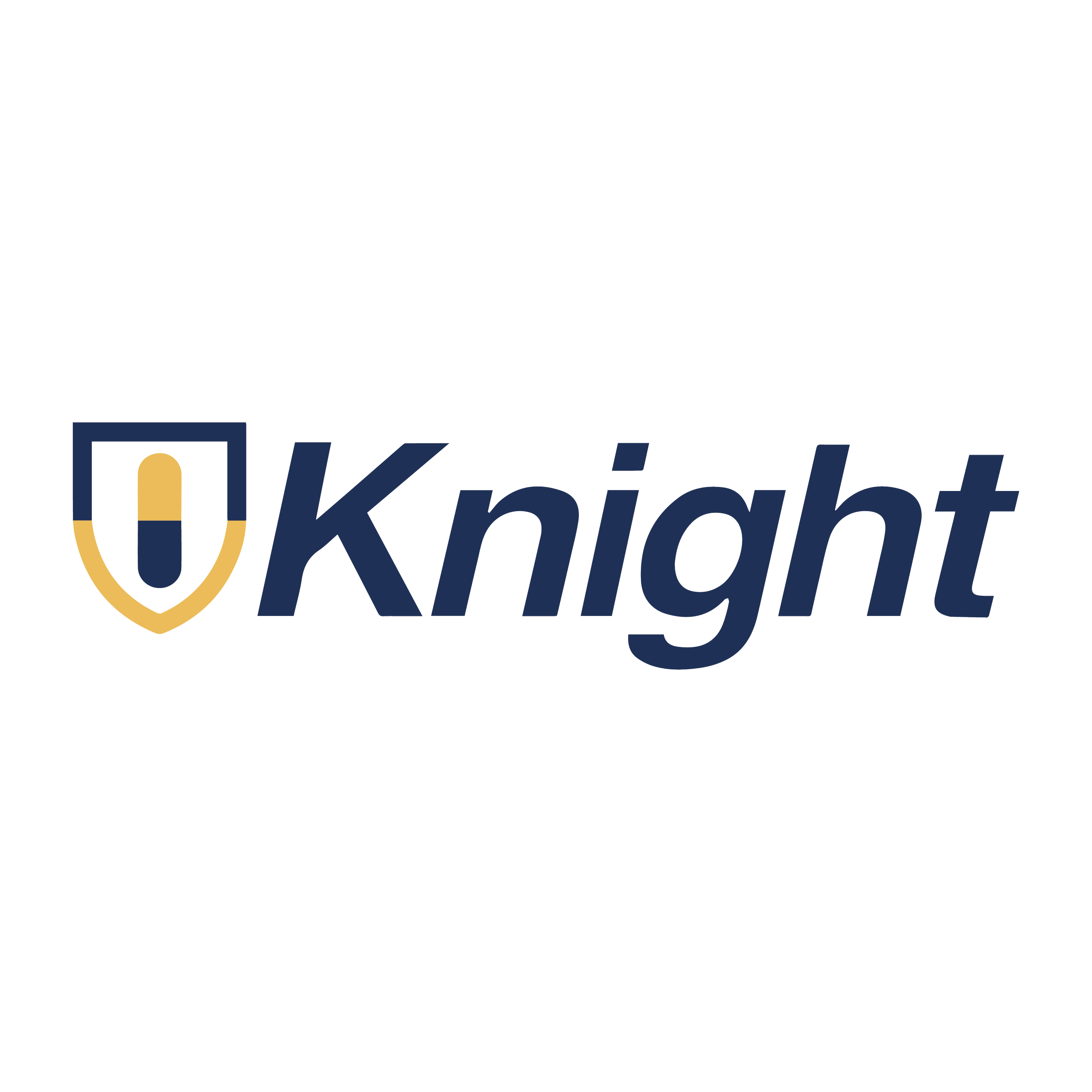 logo-knight.png