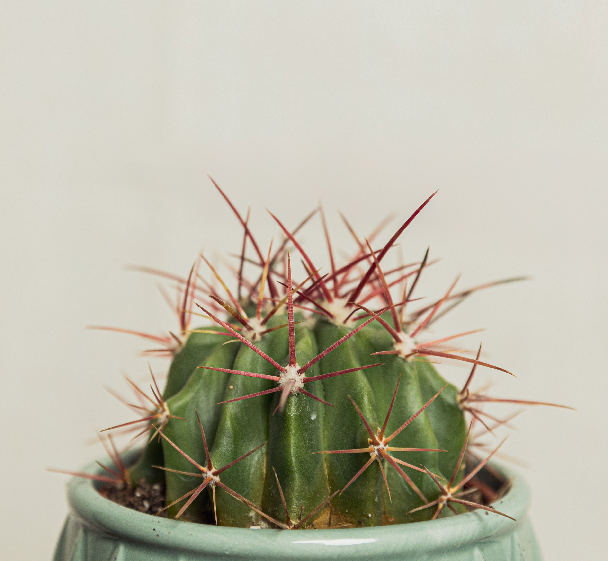 River-Plant-Co-Product-40.jpg