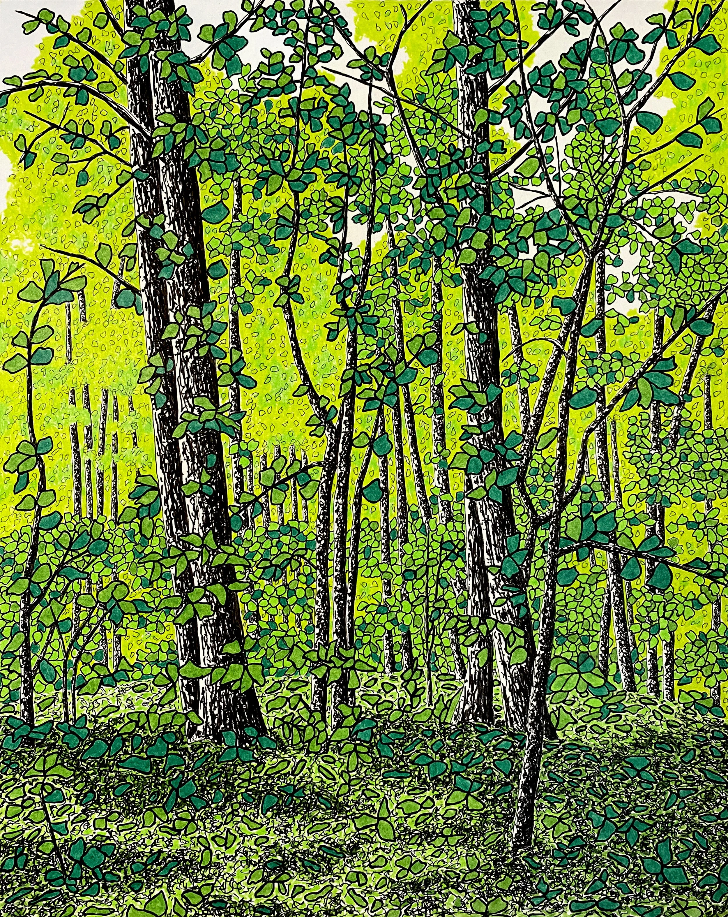 Where the Leaves Gather - Ontario, Canada