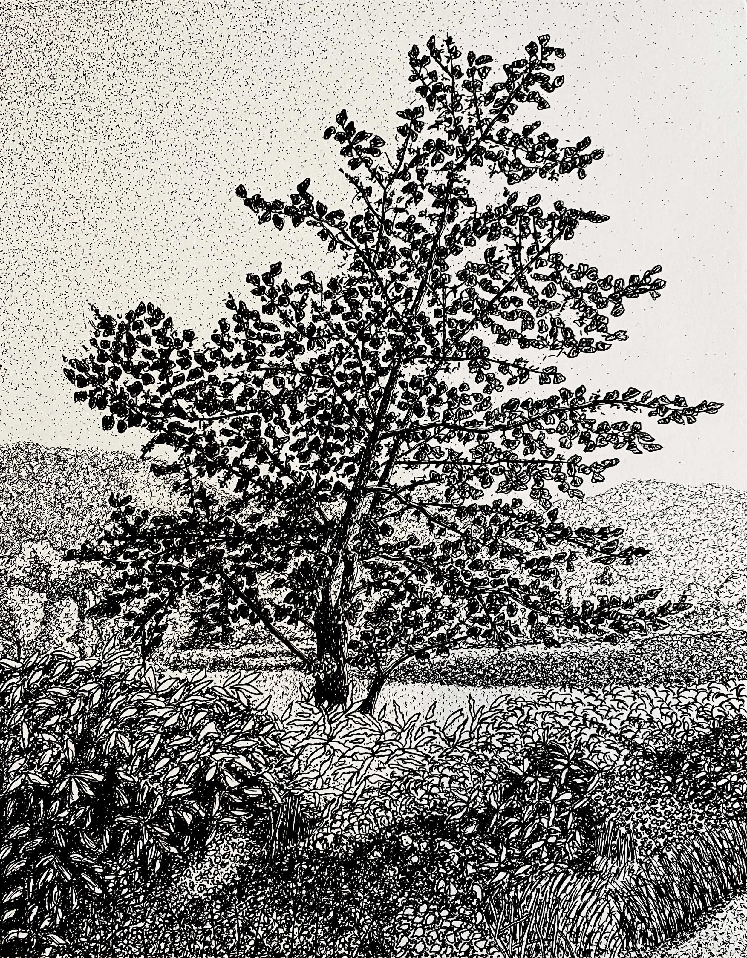 I Wanted to Stay - Ink on paper - 14 x 11 inches / 35.6 x 27.9 cm - 2025