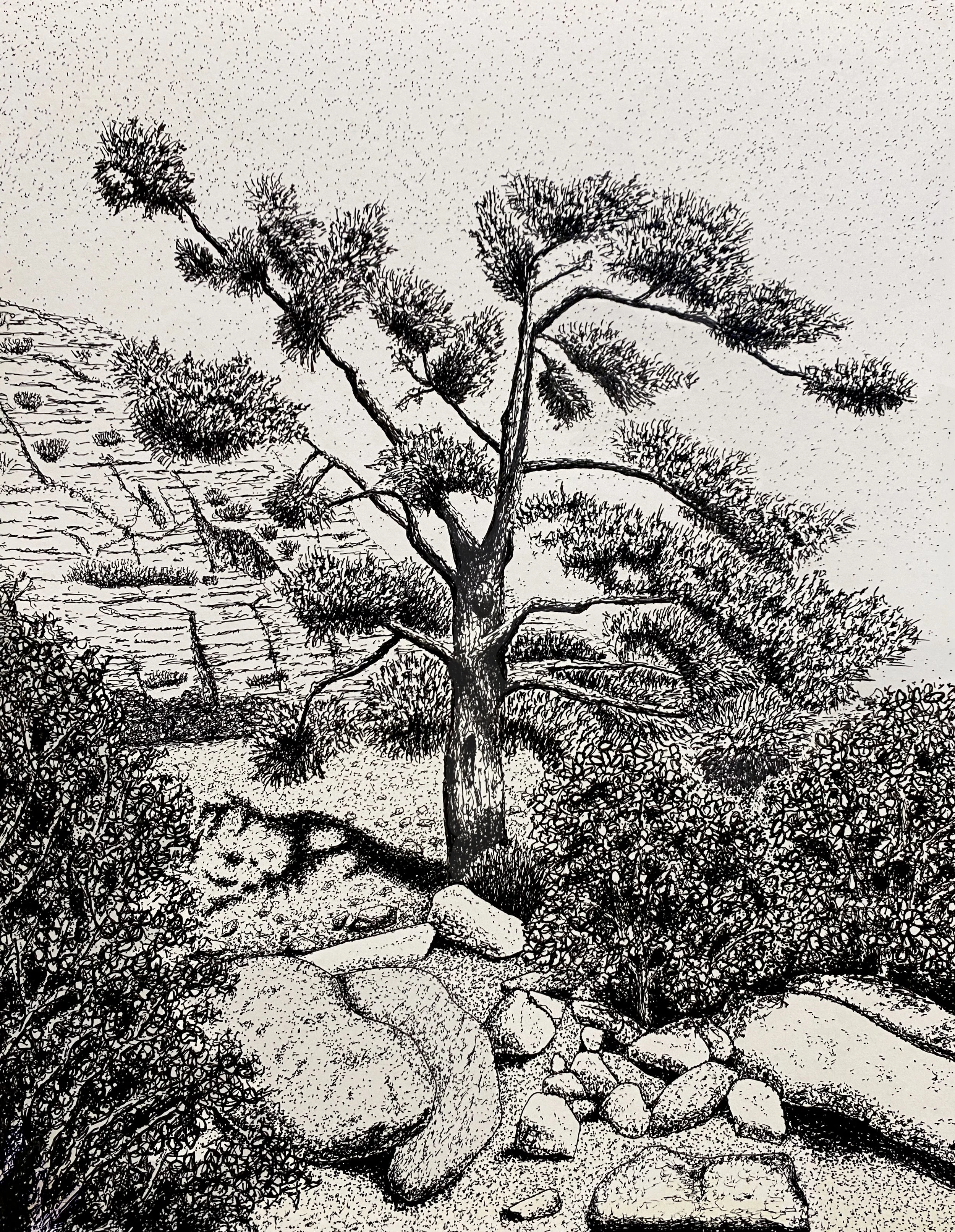 Standing Tall in the Desert - Ink on paper - 14 x 11 inches / 35.6 x 27.9 cm - 2025 - Available