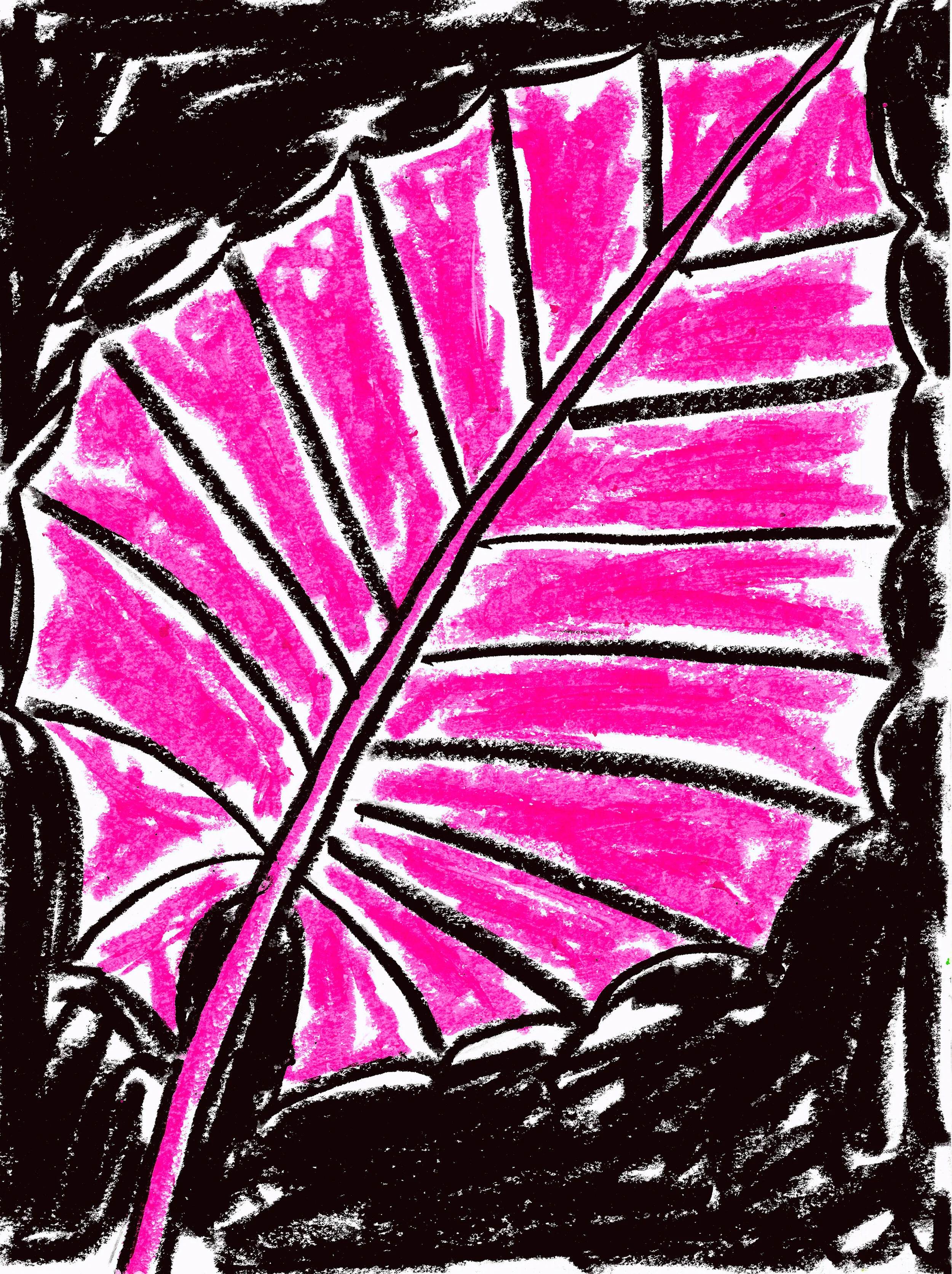 Pink Leaf - Oil pastel on paper - 11 x 8.5 inches / 27.94 x 21.59 cm - 2019 - SOLD