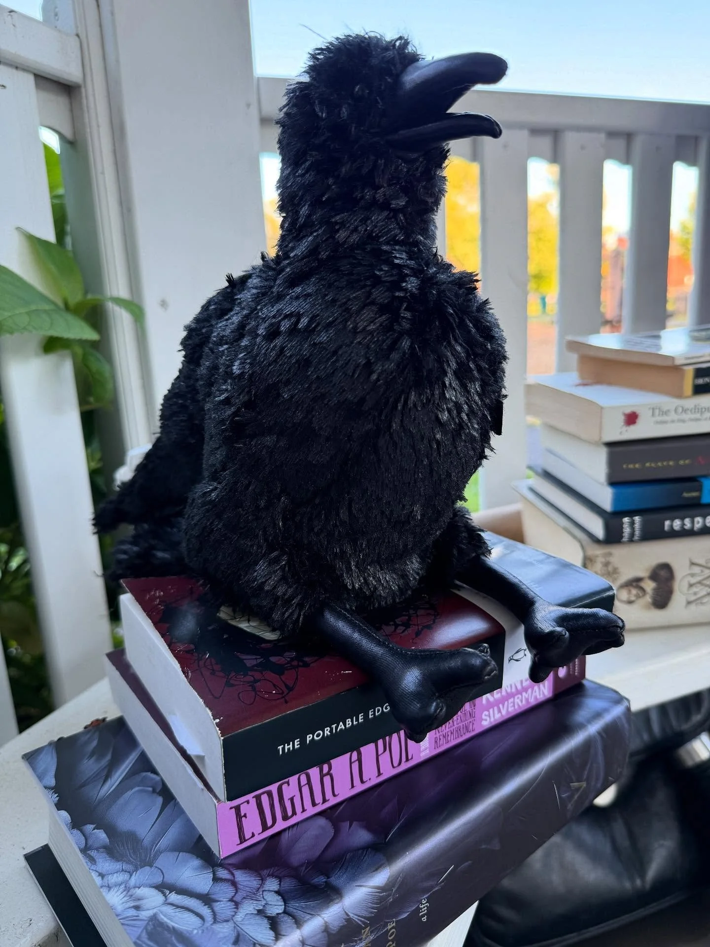 The Poe Show 

Fridays and Saturdays in October 
6:00 PM and 9:00 PM showings

Ticket link in bio.