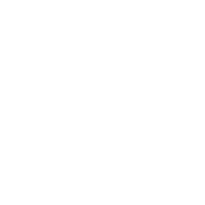 Civic-Accelerator-A-Points-Of-Light-Program.png