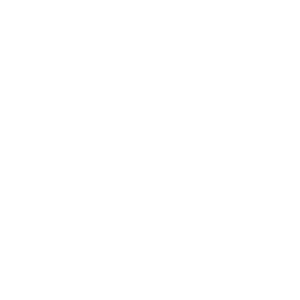 NAVSO-Member-Organization-Logo.png