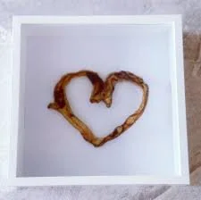Placenta Cord Keepsake