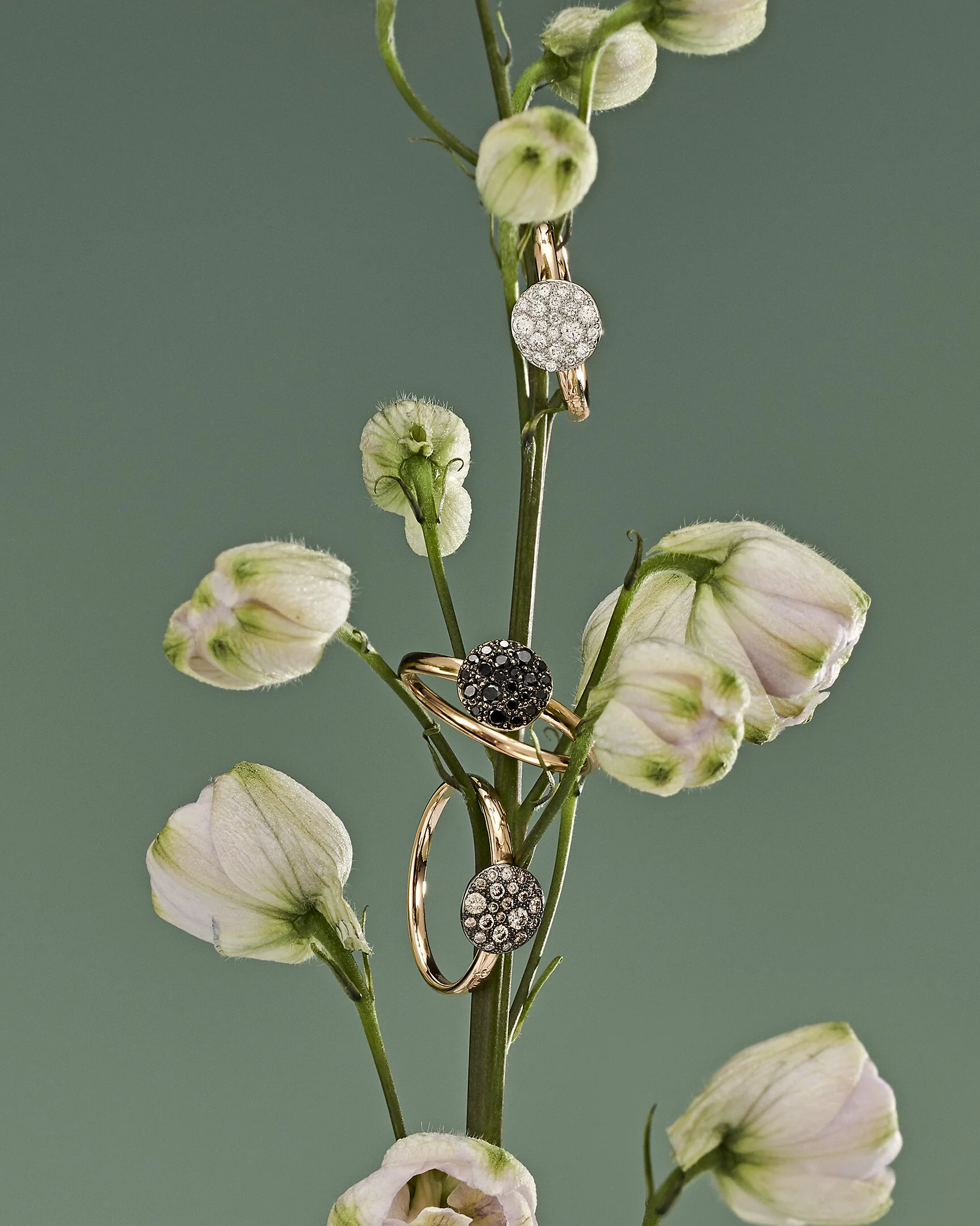 ORGANIC LUXURY_SHOT_7_RING.jpg