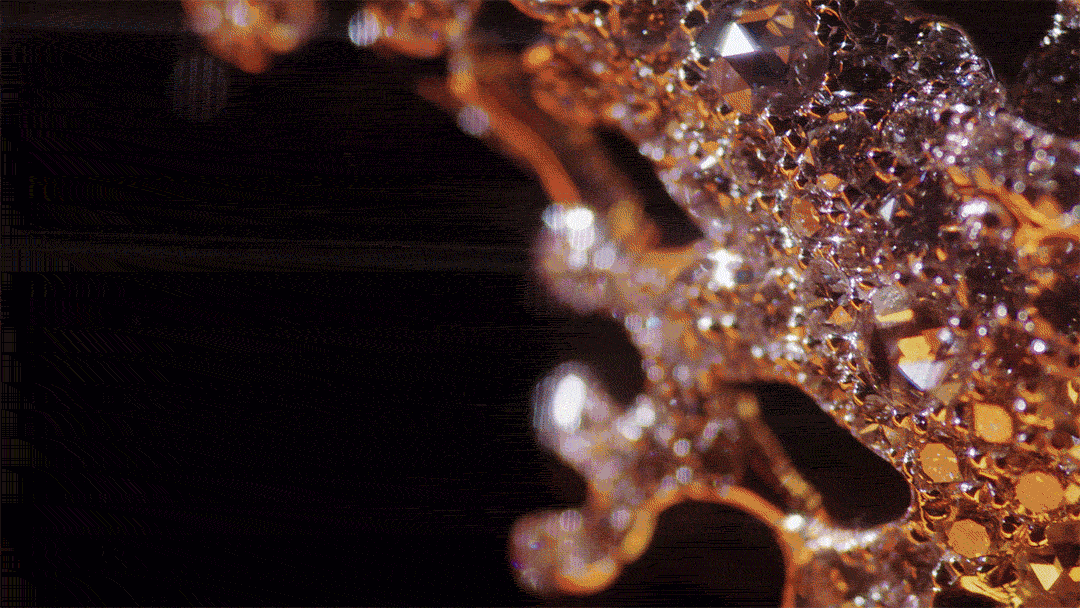 DPA_Nature_Patterns-in-Nature_Group-1_GIF_20191218.gif