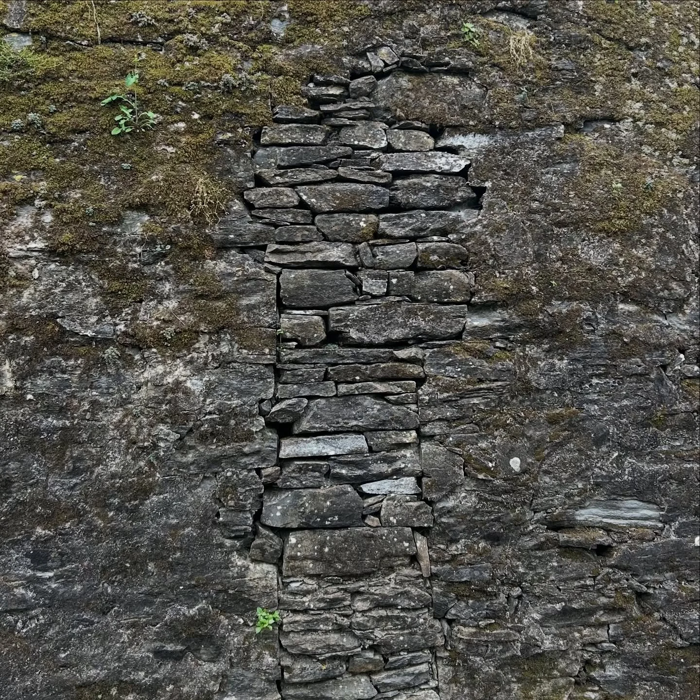Even the repairs are beautiful in Portofino.

#wall #portofino #walking #stone #italy
