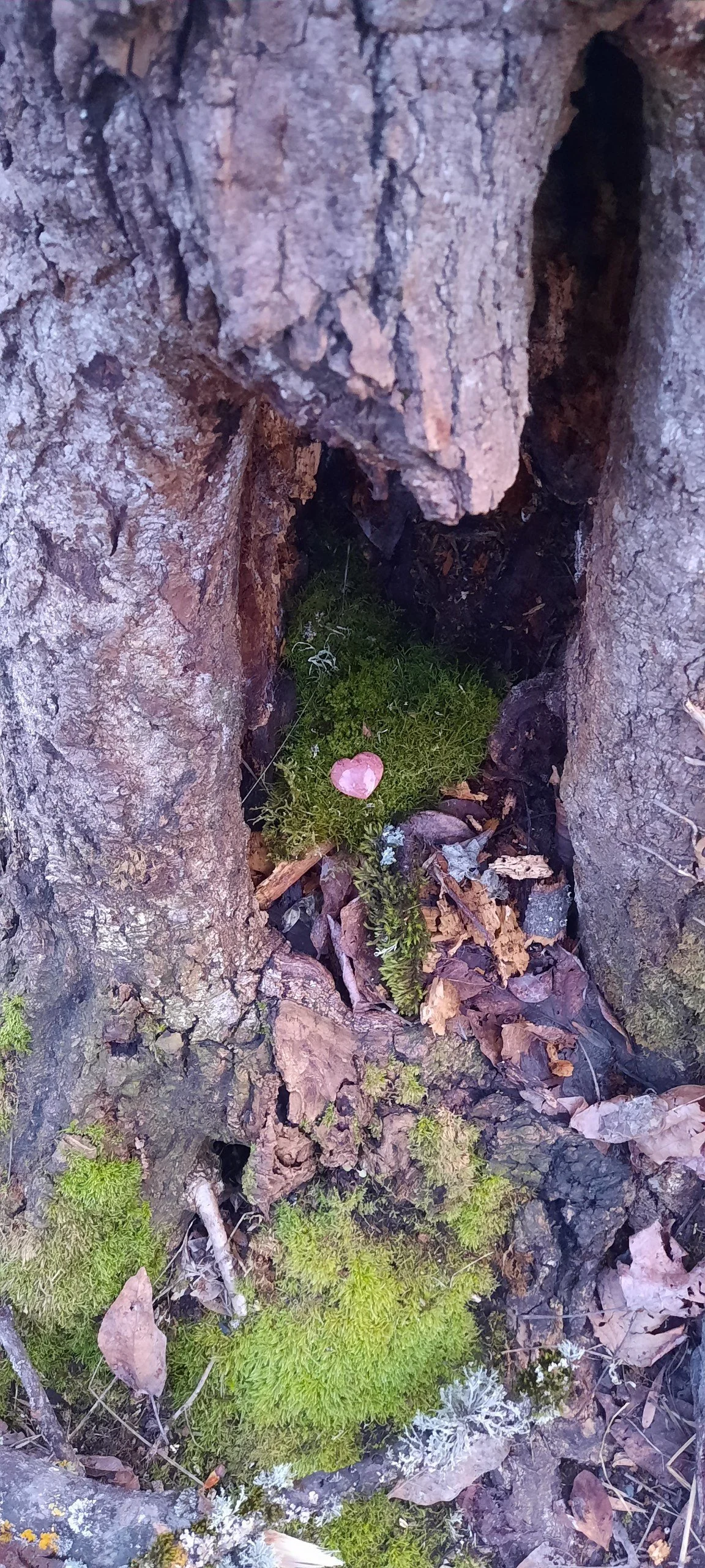 image2 (15).jpeg