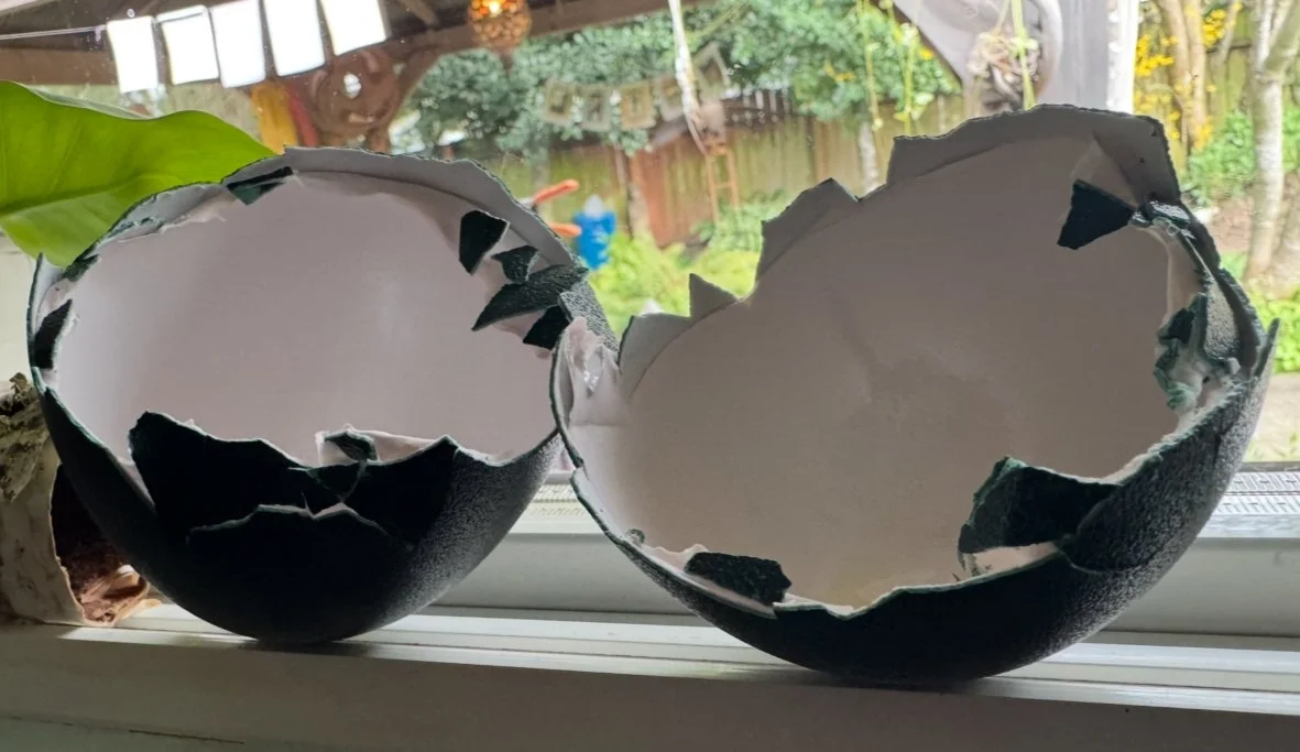 The egg shell may be used as a wish bowl on your altar after washed and dried.