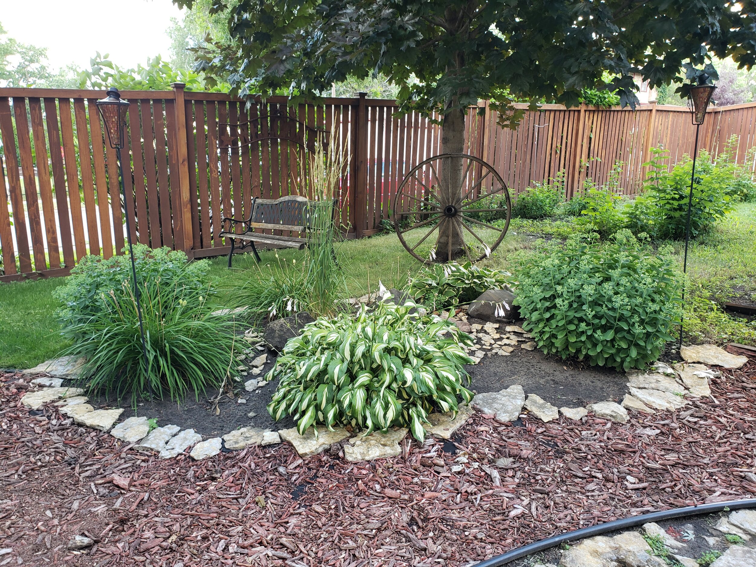 View from the backyard in summer - Charlie's artistry.