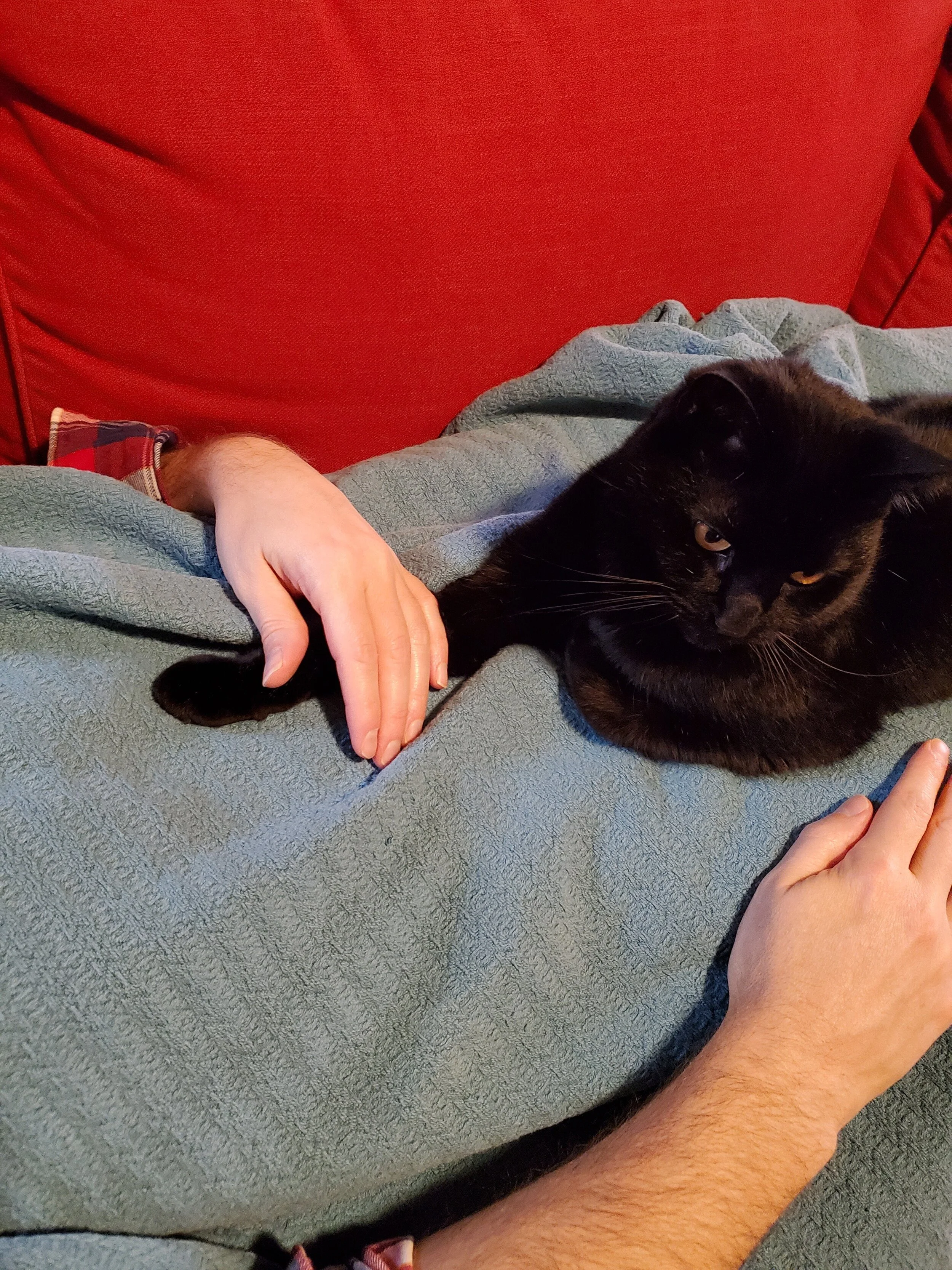 Garfunkel being loving.