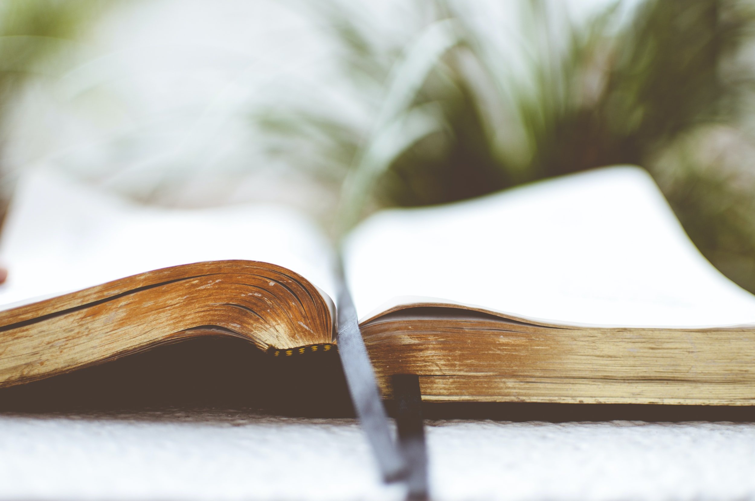 The Weekly Liturgy :: Week of 12/19/21