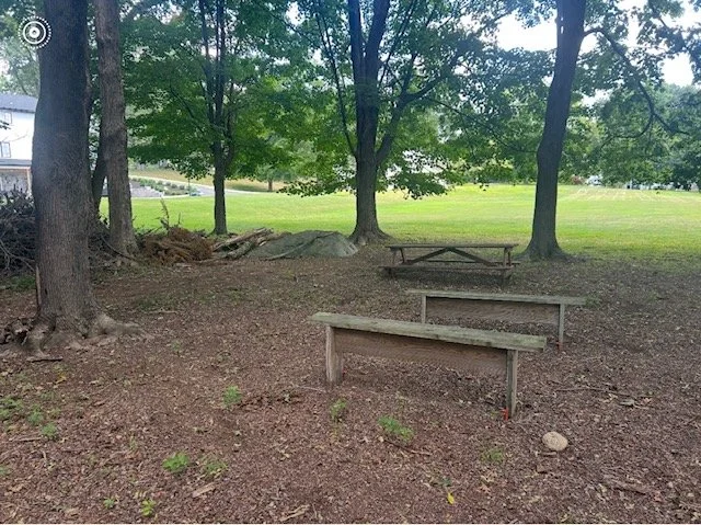 Weeds and debris in the background