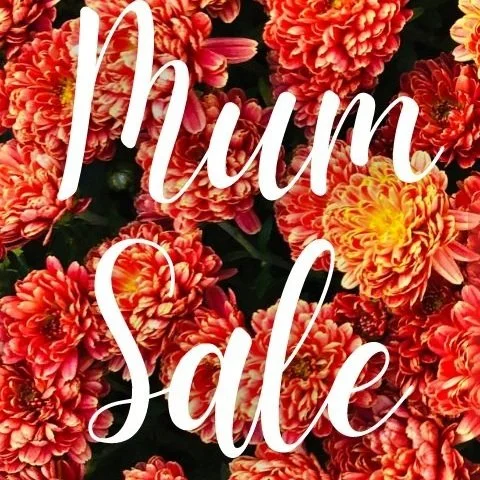 Mum%2BSale%2B2024.jpg
